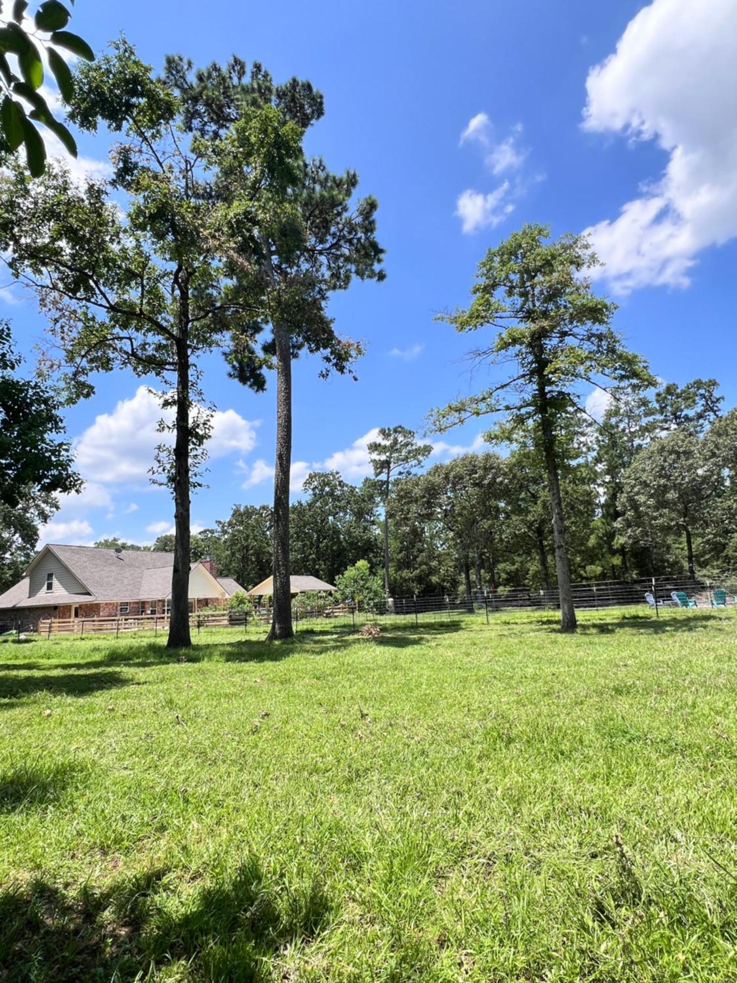 Country Getaway 4 Bedroom Resort In 10 Acre Lot แมกโนเลีย ภายนอก รูปภาพ